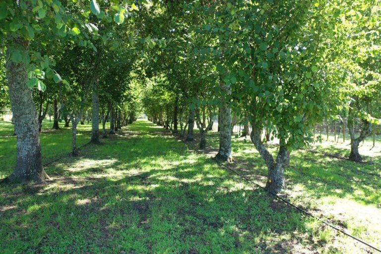 Photo of property in 298 Maungarangi Road, Paengaroa, Te Puke, 3189