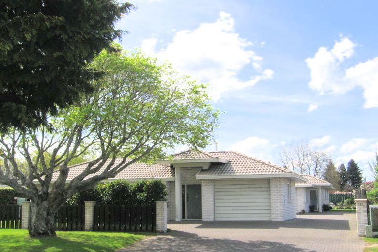 Photo of property in 53a Elizabeth Street, Victoria, Rotorua, 3010