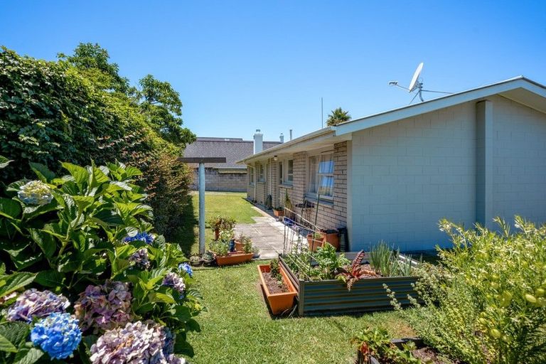 Photo of property in 3/87 Fraser Street, Tauranga South, Tauranga, 3112