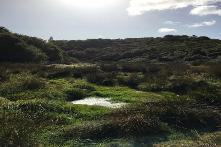 Photo of property in 50 Mcintosh Road, Brighton, Dunedin, 9035