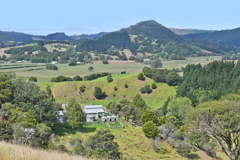 Photo of property in 121 Guy Road, Kaipara Flats, Warkworth, 0981