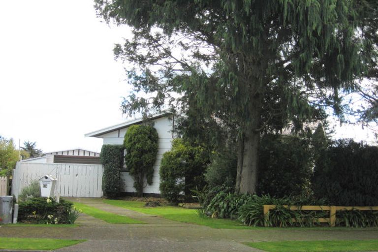 Photo of property in 14 Strathmore Avenue, Levin, 5510