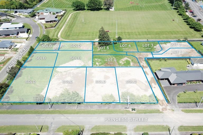 Photo of property in 24 Princess Street, Pahiatua, 4910