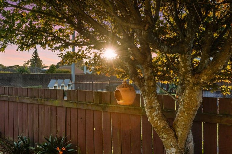 Photo of property in 213a Fifteenth Avenue, Tauranga South, Tauranga, 3112