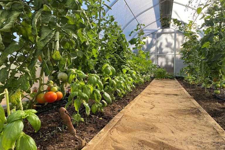 Photo of property in 201 Te Maire Road, Te Kopuru, 0371