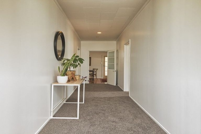 Photo of property in 609 Beech Road, Akina, Hastings, 4122