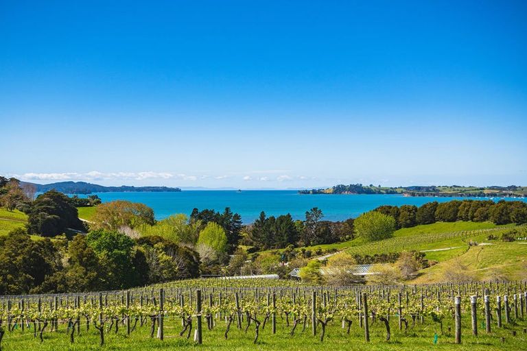 Photo of property in 14 Hewson Drive, Snells Beach, 0920