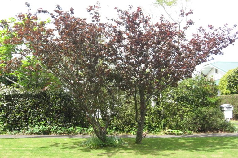 Photo of property in 11 Richardson Avenue, Whataupoko, Gisborne, 4010