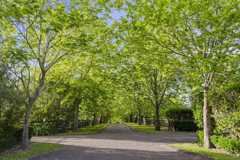 Photo of property in 43 Postman Road, Dairy Flat, Albany, 0794