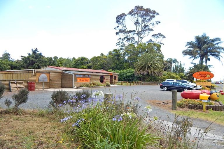 Photo of property in 414 Kerikeri Road, Kerikeri, 0230