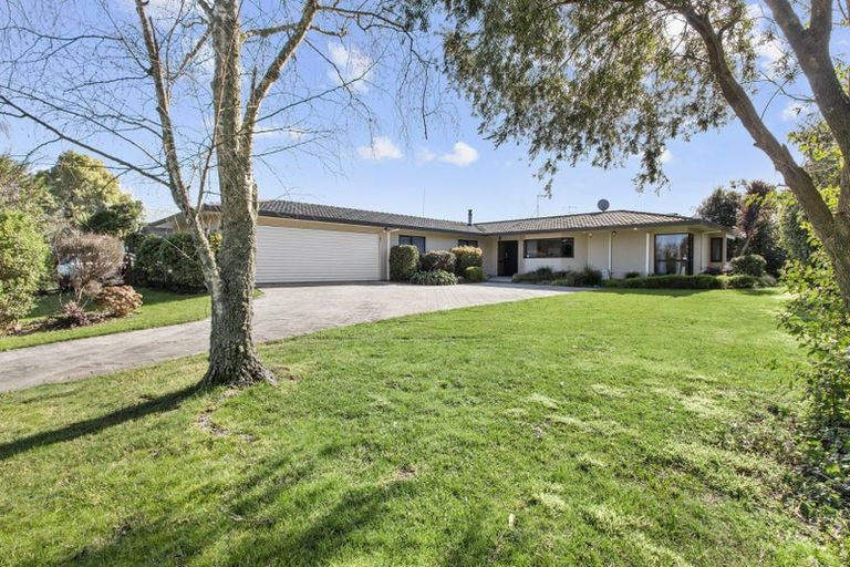 Photo of property in 90 Endeavour Avenue, Flagstaff, Hamilton, 3210