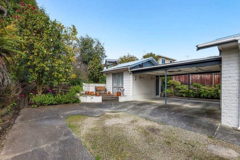 Photo of property in 12 Thomson Avenue, Dinsdale, Hamilton, 3204