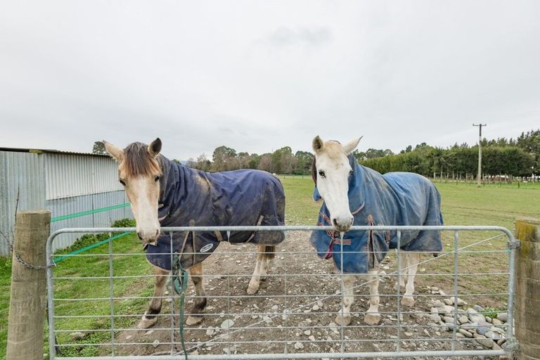 Photo of property in 117 Staples Street, Motueka, 7120