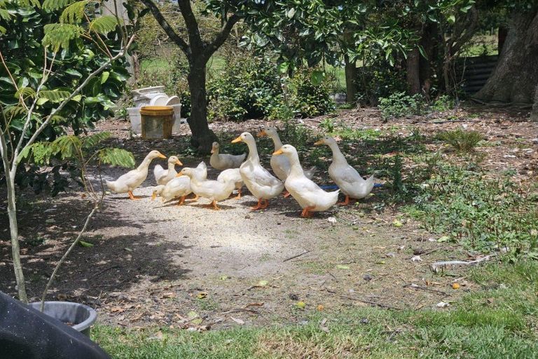 Photo of property in 12 Herald Street, Dobson, Greymouth, 7805