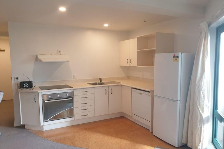 Photo of property in Courtenay Apartments, 208/120 Courtenay Place, Te Aro, Wellington, 6011