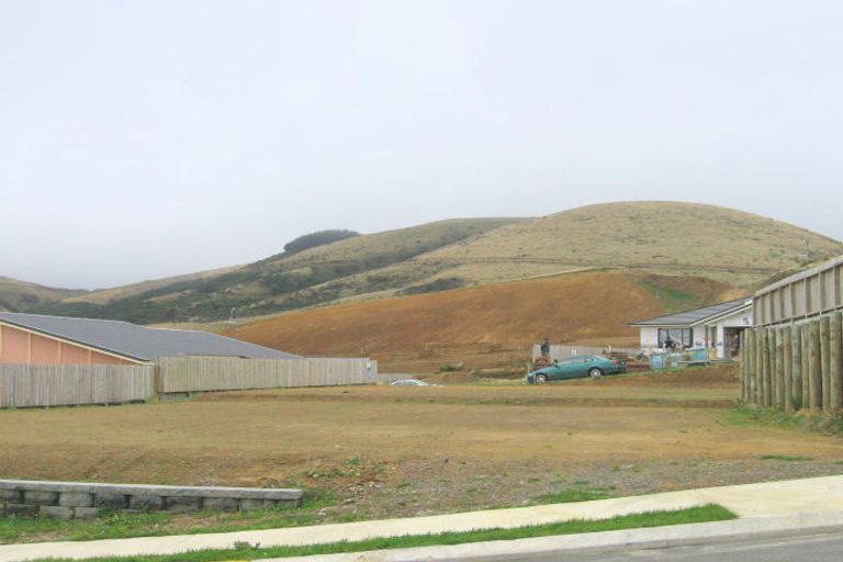 Photo of property in 31 Cedarwood Street, Woodridge, Wellington, 6037