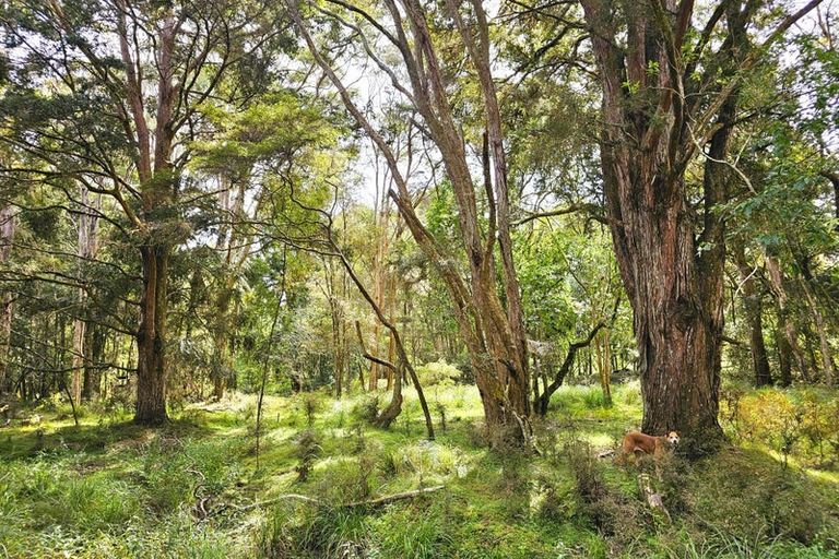 Photo of property in 3615 Horeke Road, Taheke, Kaikohe, 0473