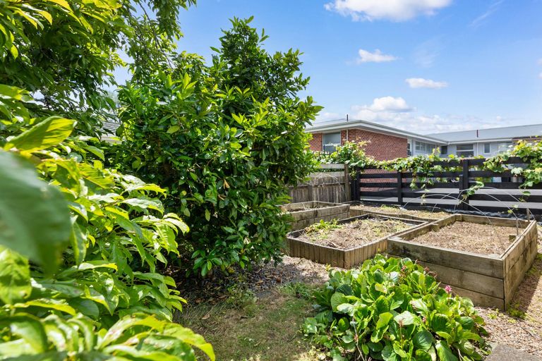 Photo of property in 17 Victoria Avenue, Morrinsville, 3300