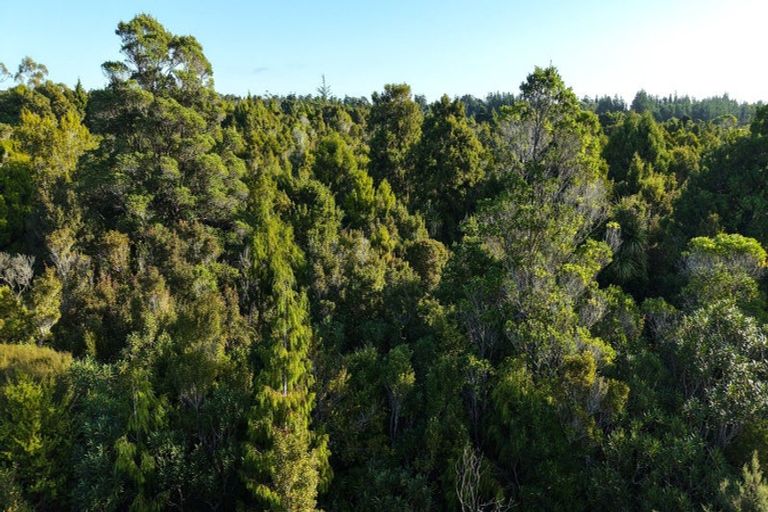 Photo of property in 37 South Terrace Road, Karamea, 7893