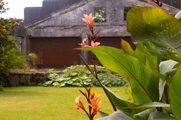 Photo of property in 327 Wanganui Flat Road, Harihari, 7884