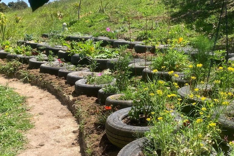 Photo of property in 1665 Matapouri Road, Matapouri, Whangarei, 0173