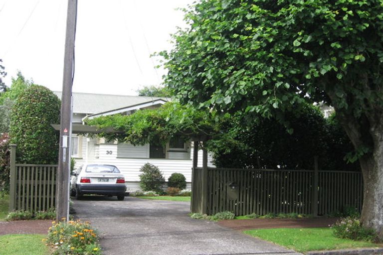 Property details for 30 Onslow Avenue, Epsom, Auckland, 1023