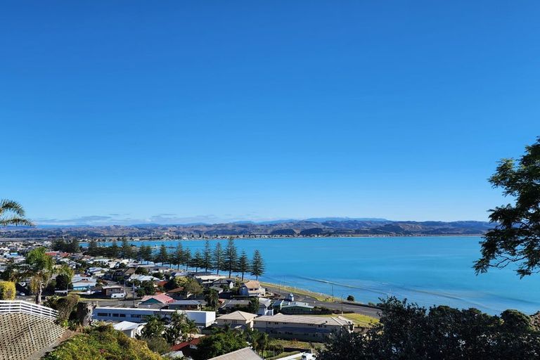 Photo of property in 33a Seapoint Road, Bluff Hill, Napier, 4110