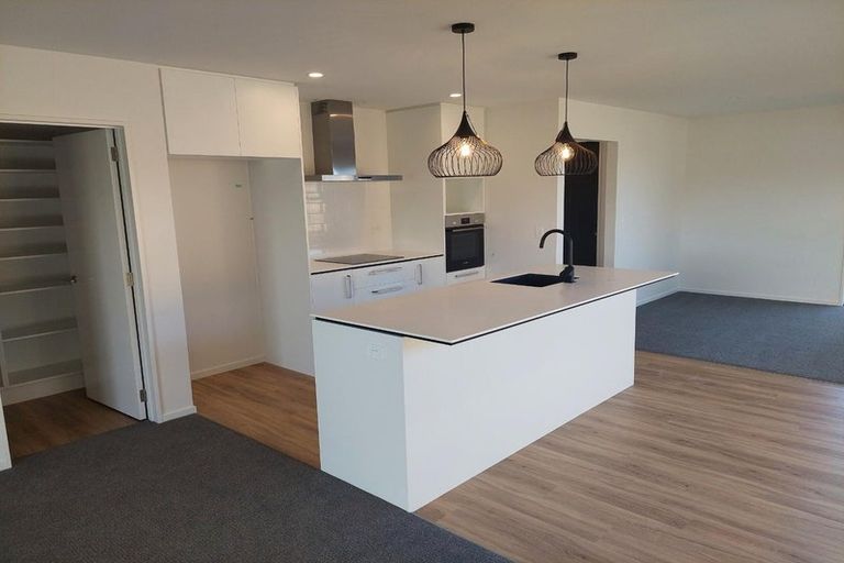 Photo of property in 64 Nethercote Way, Rolleston, 7614