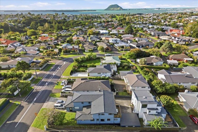 Photo of property in 222 Grange Road, Otumoetai, Tauranga, 3110