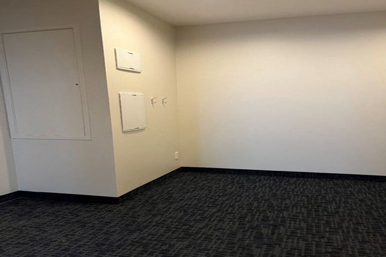 Photo of property in Hanson House, 2/27 Hanson Street, Mount Cook, Wellington, 6021