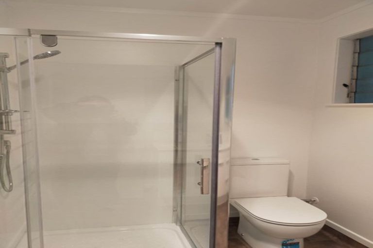 Photo of property in 9 Rielly Place, Mount Wellington, Auckland, 1060