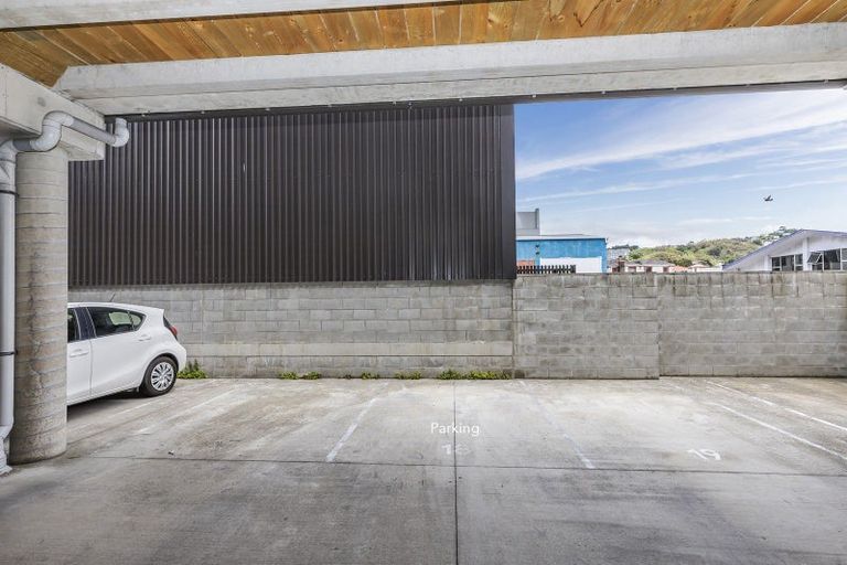 Photo of property in Aniva Terrace, 28 Ferguson Street, Newtown, Wellington, 6021