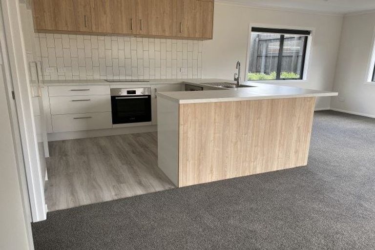 Photo of property in 77a Guy Avenue, Takaro, Palmerston North, 4410