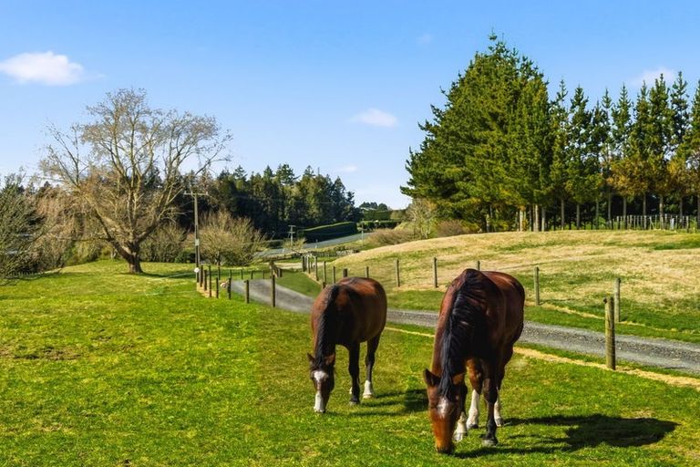 Photo of property in 1465 Poihipi Road, Oruanui, Taupo, 3377