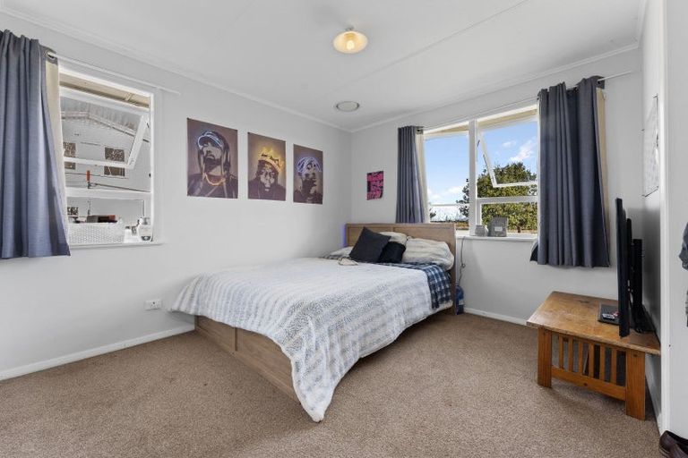 Photo of property in 24 Mahoe Street, Levin, 5510
