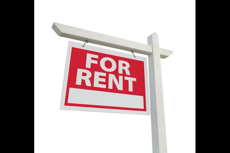 Photo of property in 55 Sheffield Street, Matamata, 3400