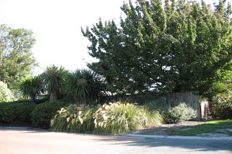 Photo of property in 29 Chapman Street, Leeston, 7632