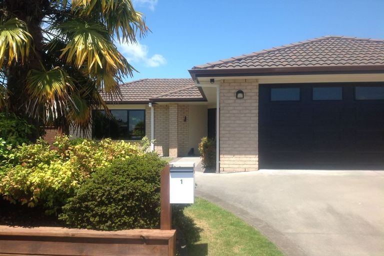 Photo of property in 1 Lancewood Court, Matamata, 3400