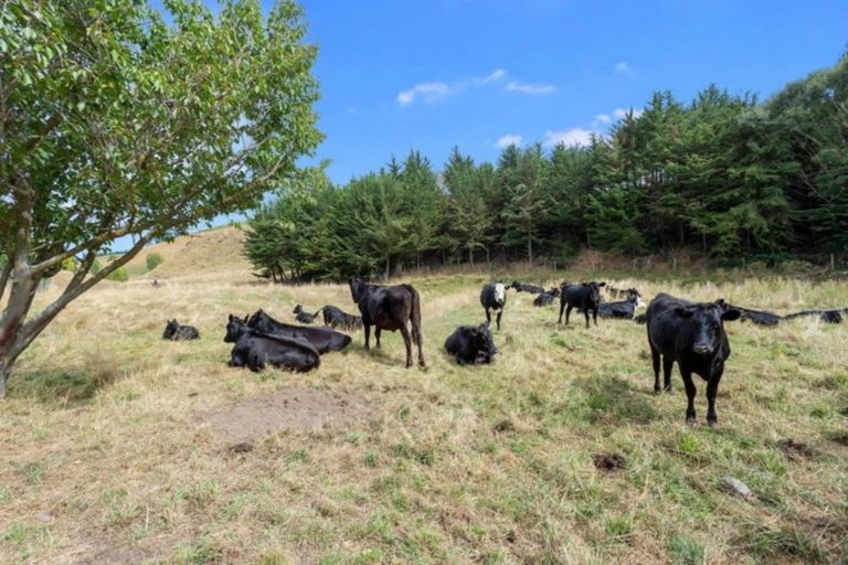 Photo of property in 1013 Glenmark Drive, Waipara, Amberley, 7483