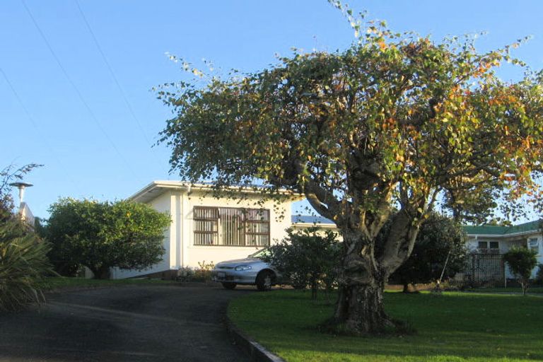 Photo of property in 62 Mount View Road, Bastia Hill, Whanganui, 4500