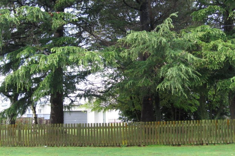 Photo of property in 17 Tamaki Street, Ngongotaha, Rotorua, 3010