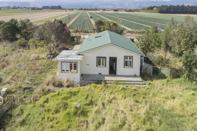 Photo of property in 178 Cd Farm Road, Levin, 5571