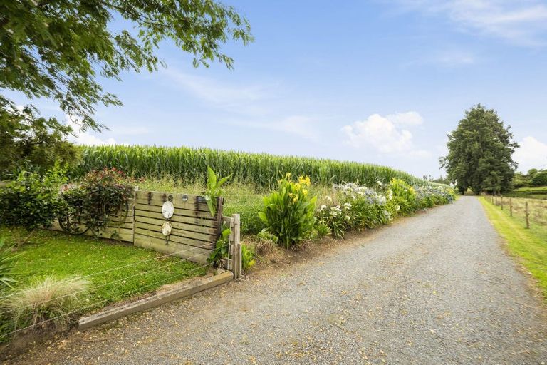 Photo of property in 408 Whites Road, Tapapa, Putaruru, 3483