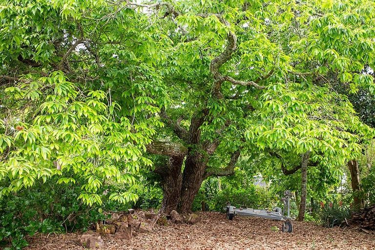 Photo of property in 24 Mission Road, Kerikeri, 0230