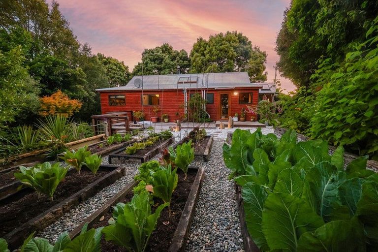 Photo of property in 6 Barclay Street, North East Valley, Dunedin, 9010