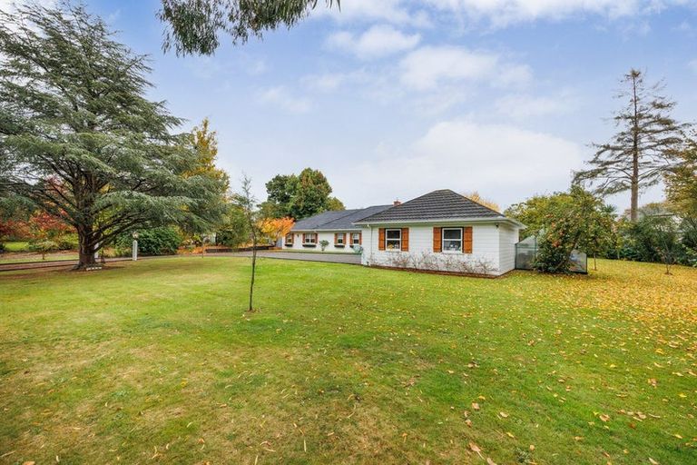 Photo of property in 8 Skerman Street, Marton, 4710