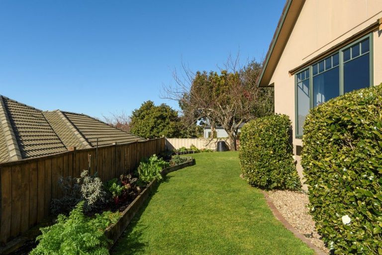 Photo of property in 14 Braeburn Place, Bethlehem, Tauranga, 3110