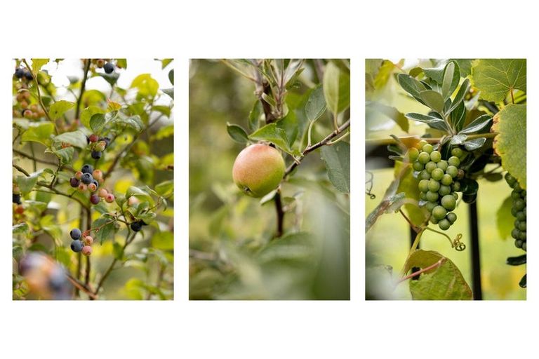 Photo of property in 18 Moira Close, Welcome Bay, Tauranga, 3175