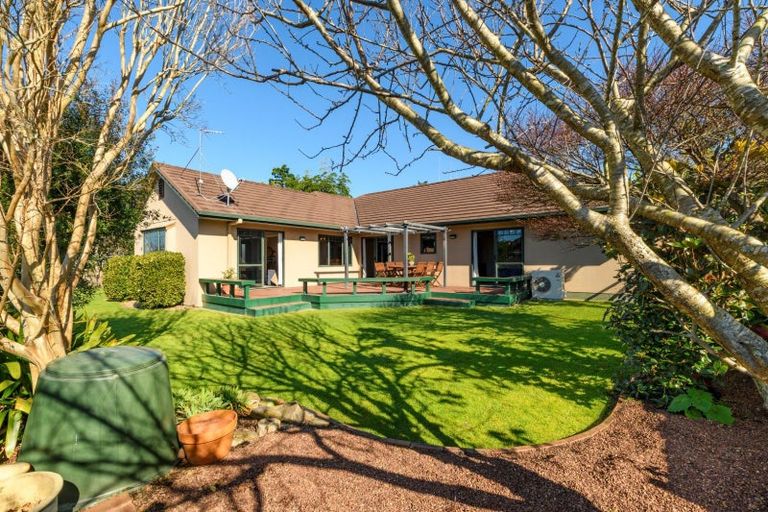 Photo of property in 14 Braeburn Place, Bethlehem, Tauranga, 3110