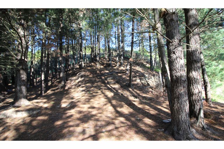 Photo of property in 70 Holliss Avenue, Cashmere, Christchurch, 8022